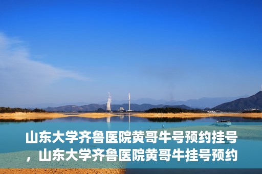 山东大学齐鲁医院黄哥牛号预约挂号，山东大学齐鲁医院黄哥牛挂号预约攻略