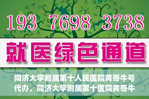 同济大学附属第十人民医院黄哥牛号代办，同济大学附属第十医院黄哥牛号预约代办服务解析