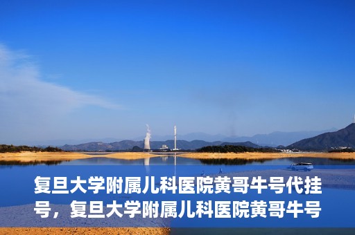 复旦大学附属儿科医院黄哥牛号代挂号，复旦大学附属儿科医院黄哥牛号代挂号解析，专业解读与挂号攻略