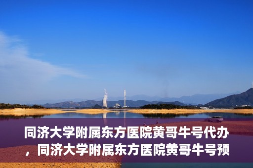 同济大学附属东方医院黄哥牛号代办，同济大学附属东方医院黄哥牛号预约代办攻略