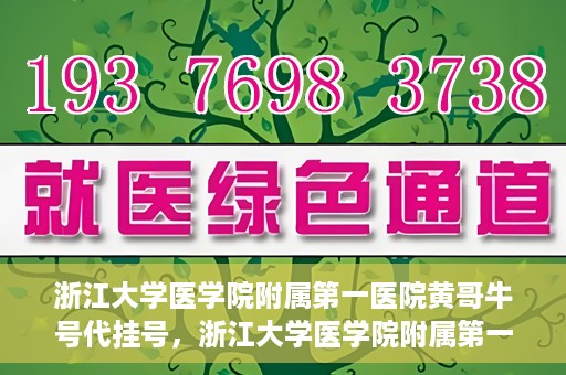 浙江大学医学院附属第一医院黄哥牛号代挂号，浙江大学医学院附属第一医院黄哥牛号代挂号服务解析