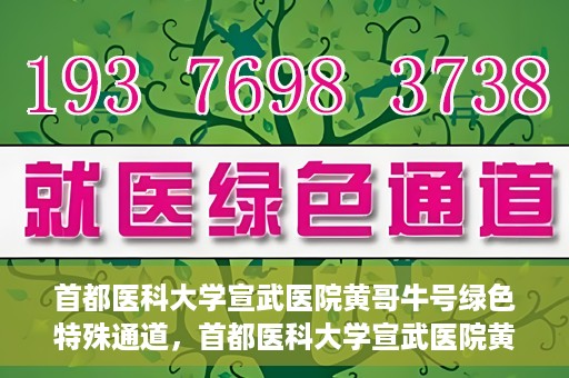 首都医科大学宣武医院黄哥牛号绿色特殊通道，首都医科大学宣武医院黄哥牛号，绿色特殊通道开启健康之门