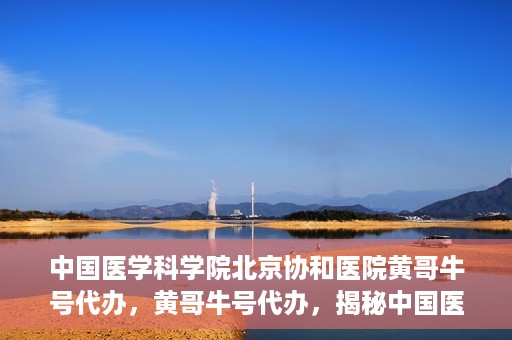 中国医学科学院北京协和医院黄哥牛号代办，黄哥牛号代办，揭秘中国医学科学院北京协和医院背后的故事