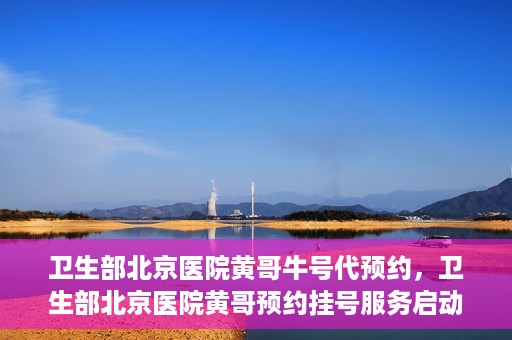 卫生部北京医院黄哥牛号代预约，卫生部北京医院黄哥预约挂号服务启动