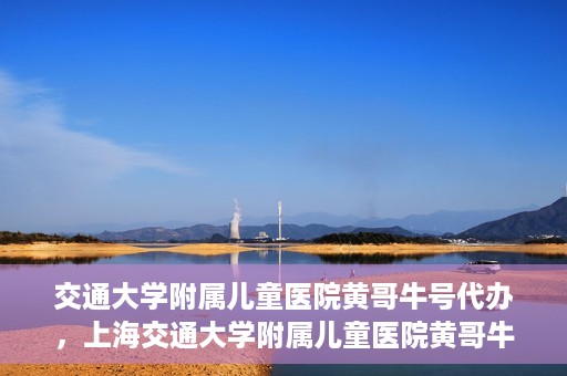 交通大学附属儿童医院黄哥牛号代办，上海交通大学附属儿童医院黄哥牛号代办揭秘，真相与警示