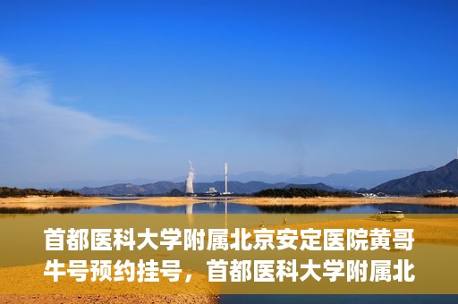 首都医科大学附属北京安定医院黄哥牛号预约挂号，首都医科大学附属北京安定医院黄哥牛号预约挂号指南