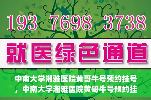 中南大学湘雅医院黄哥牛号预约挂号，中南大学湘雅医院黄哥牛号预约挂号攻略，轻松挂号，无忧就医体验