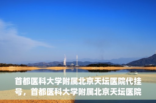 首都医科大学附属北京天坛医院代挂号，首都医科大学附属北京天坛医院代挂号服务详解