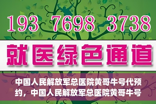 中国人民解放军总医院黄哥牛号代预约，中国人民解放军总医院黄哥牛号预约服务解析