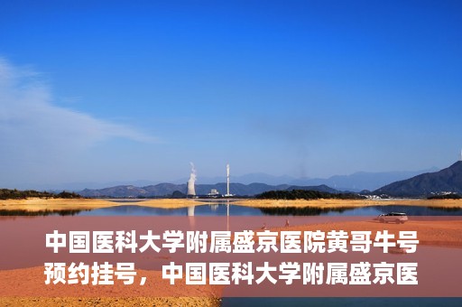中国医科大学附属盛京医院黄哥牛号预约挂号，中国医科大学附属盛京医院黄哥牛号，预约挂号指南