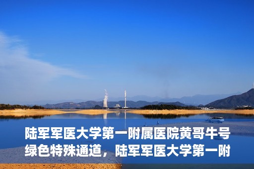 陆军军医大学第一附属医院黄哥牛号绿色特殊通道，陆军军医大学第一附属医院黄哥牛号，绿色特殊通道开启健康之门