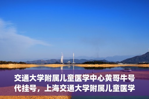 交通大学附属儿童医学中心黄哥牛号代挂号，上海交通大学附属儿童医学中心黄哥牛号代挂号解析与攻略