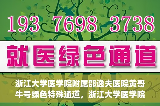 浙江大学医学院附属邵逸夫医院黄哥牛号绿色特殊通道，浙江大学医学院附属邵逸夫医院绿色特殊通道，黄哥牛号的传奇之路