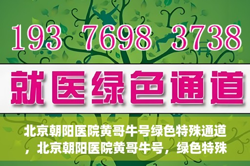 北京朝阳医院黄哥牛号绿色特殊通道，北京朝阳医院黄哥牛号，绿色特殊通道开启健康之门
