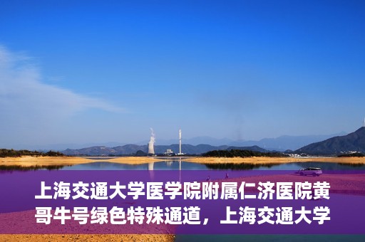 上海交通大学医学院附属仁济医院黄哥牛号绿色特殊通道，上海交通大学医学院附属仁济医院绿色特殊通道，黄哥牛号启动