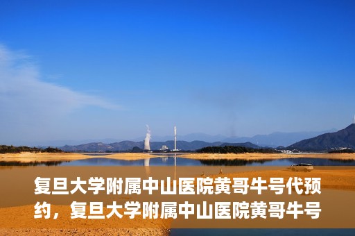 复旦大学附属中山医院黄哥牛号代预约，复旦大学附属中山医院黄哥牛号预约服务解析