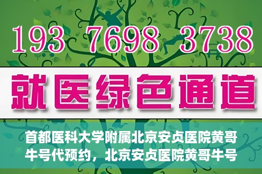 首都医科大学附属北京安贞医院黄哥牛号代预约，北京安贞医院黄哥牛号预约服务解析