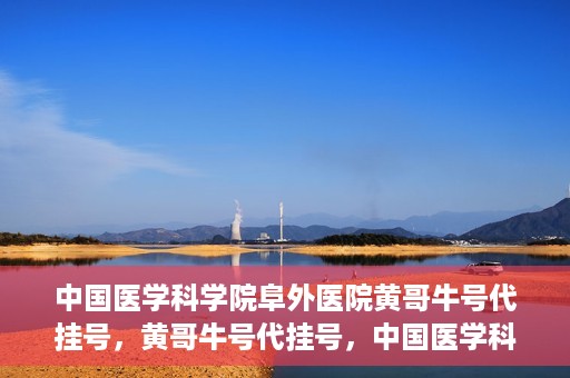中国医学科学院阜外医院黄哥牛号代挂号，黄哥牛号代挂号，中国医学科学院阜外医院便捷就医新途径
