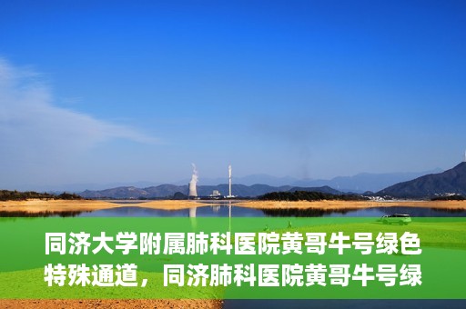 同济大学附属肺科医院黄哥牛号绿色特殊通道，同济肺科医院黄哥牛号绿色特殊通道揭秘
