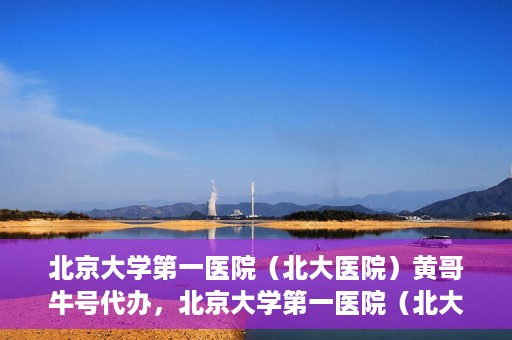 北京大学第一医院（北大医院）黄哥牛号代办，北京大学第一医院（北大医院）黄哥牛号代办，揭秘背后的故事