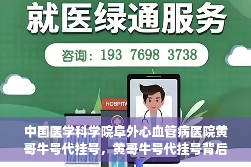 中国医学科学院阜外心血管病医院黄哥牛号代挂号，黄哥牛号代挂号背后的故事，阜外心血管病医院的探索与挑战