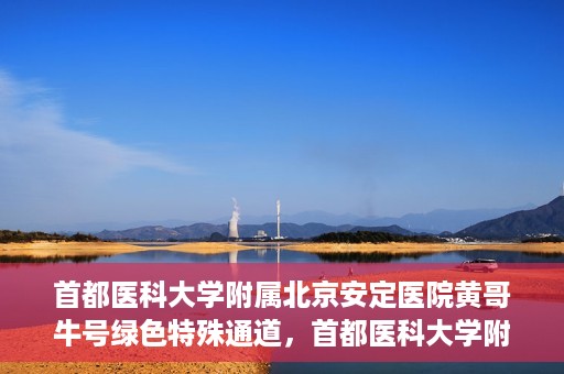 首都医科大学附属北京安定医院黄哥牛号绿色特殊通道，首都医科大学附属北京安定医院黄哥牛号绿色特殊通道，探索与实践