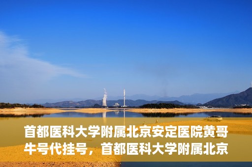 首都医科大学附属北京安定医院黄哥牛号代挂号，首都医科大学附属北京安定医院黄哥牛号助您轻松预约挂号！