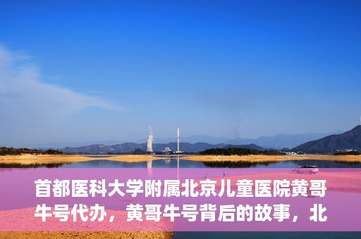 首都医科大学附属北京儿童医院黄哥牛号代办，黄哥牛号背后的故事，北京儿童医院名医背后的故事与探索。