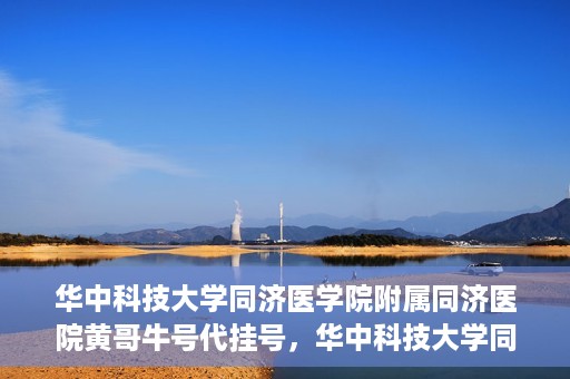 华中科技大学同济医学院附属同济医院黄哥牛号代挂号，华中科技大学同济医院黄哥牛号代挂号背后的故事