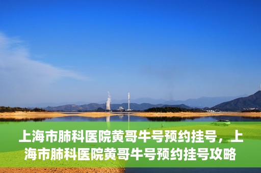 上海市肺科医院黄哥牛号预约挂号，上海市肺科医院黄哥牛号预约挂号攻略，轻松掌握挂号秘籍
