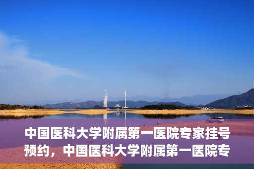 中国医科大学附属第一医院专家挂号预约，中国医科大学附属第一医院专家挂号预约攻略，一站式解决您的就医难题