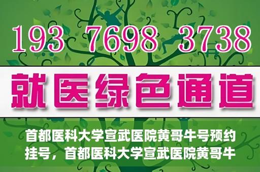 首都医科大学宣武医院黄哥牛号预约挂号，首都医科大学宣武医院黄哥牛号，预约挂号攻略