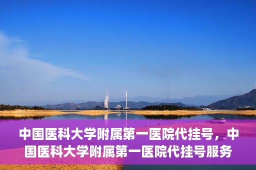 中国医科大学附属第一医院代挂号，中国医科大学附属第一医院代挂号服务详解