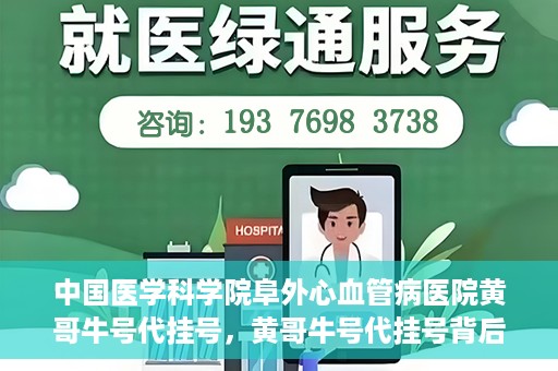 中国医学科学院阜外心血管病医院黄哥牛号代挂号，黄哥牛号代挂号背后的故事，阜外心血管病医院的探索与挑战