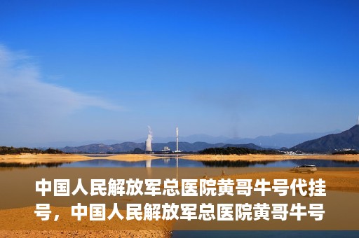 中国人民解放军总医院黄哥牛号代挂号，中国人民解放军总医院黄哥牛号代挂号解析，揭秘挂号背后的故事