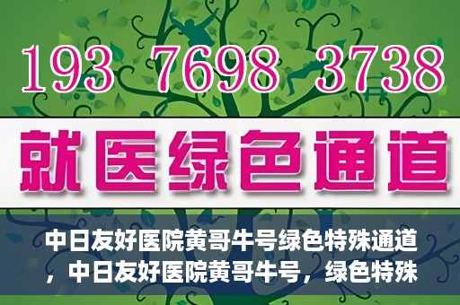 中日友好医院黄哥牛号绿色特殊通道，中日友好医院黄哥牛号，绿色特殊通道开启健康之门