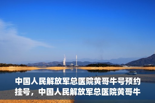 中国人民解放军总医院黄哥牛号预约挂号，中国人民解放军总医院黄哥牛号预约挂号攻略解析