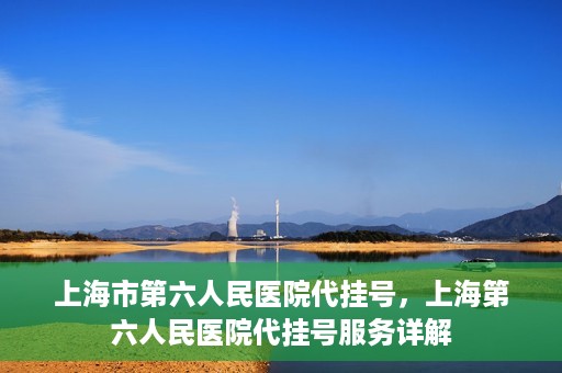 上海市第六人民医院代挂号，上海第六人民医院代挂号服务详解
