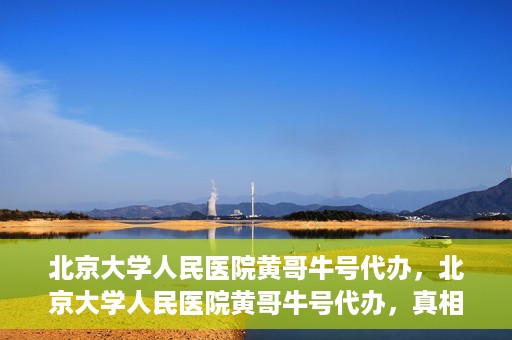 北京大学人民医院黄哥牛号代办，北京大学人民医院黄哥牛号代办，真相揭秘与深度解读
