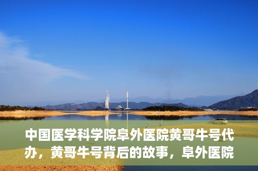 中国医学科学院阜外医院黄哥牛号代办，黄哥牛号背后的故事，阜外医院名医揭秘与医疗服务的深度解读