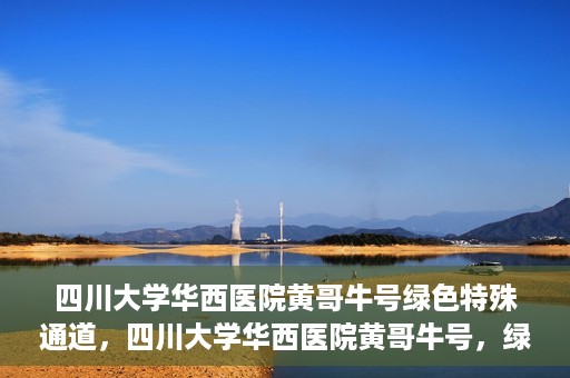 四川大学华西医院黄哥牛号绿色特殊通道，四川大学华西医院黄哥牛号，绿色特殊通道开启生命之门
