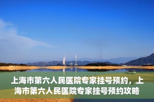 上海市第六人民医院专家挂号预约，上海市第六人民医院专家挂号预约攻略，一站式解决您的就医需求