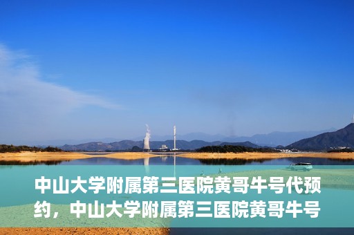 中山大学附属第三医院黄哥牛号代预约，中山大学附属第三医院黄哥牛号预约攻略，轻松解决挂号难题