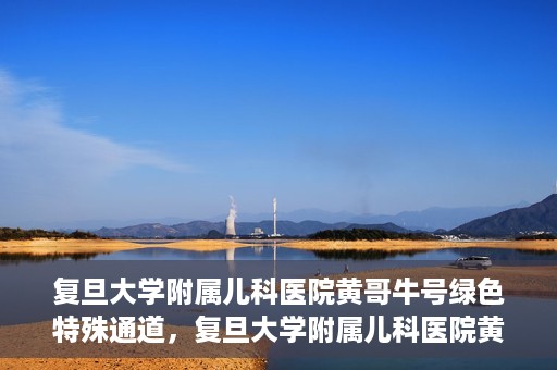 复旦大学附属儿科医院黄哥牛号绿色特殊通道，复旦大学附属儿科医院黄哥牛号，绿色特殊通道的温暖守护