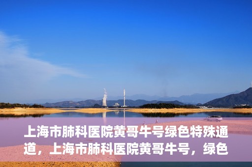 上海市肺科医院黄哥牛号绿色特殊通道，上海市肺科医院黄哥牛号，绿色特殊通道开启健康之门