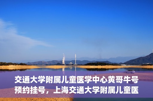 交通大学附属儿童医学中心黄哥牛号预约挂号，上海交通大学附属儿童医学中心黄哥牛专家预约挂号攻略