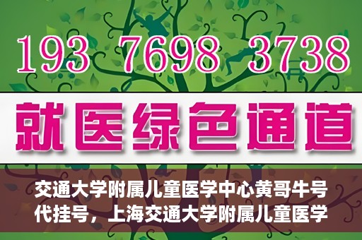 交通大学附属儿童医学中心黄哥牛号代挂号，上海交通大学附属儿童医学中心黄哥牛号代挂号解析与攻略