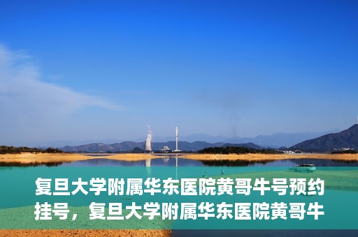 复旦大学附属华东医院黄哥牛号预约挂号，复旦大学附属华东医院黄哥牛号预约挂号攻略解析
