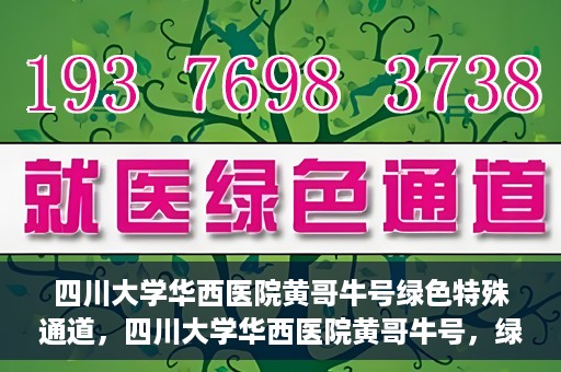 四川大学华西医院黄哥牛号绿色特殊通道，四川大学华西医院黄哥牛号，绿色特殊通道开启生命之门