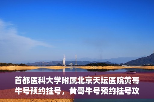 首都医科大学附属北京天坛医院黄哥牛号预约挂号，黄哥牛号预约挂号攻略，北京天坛医院就医指南
